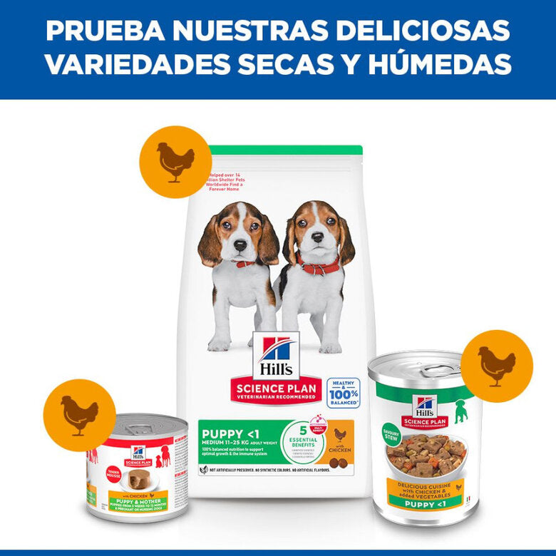 Hill's Science Plan Puppy Estofado con Pollo y Verduras Lata Húmeda para Cachorros HILLS Mascotas-Ávila