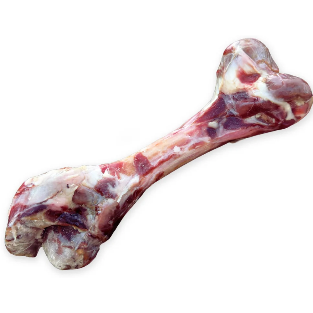 Hobbitalf Hueso de Jamón Ibérico Snack Natural para Perros HOBBITALF Mascotas-Ávila