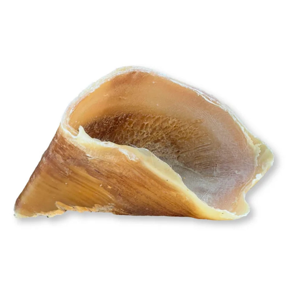 Hobbitalf Pezuña de Ternera Ahumada Snack Natural para Perros HOBBITALF Mascotas-Ávila