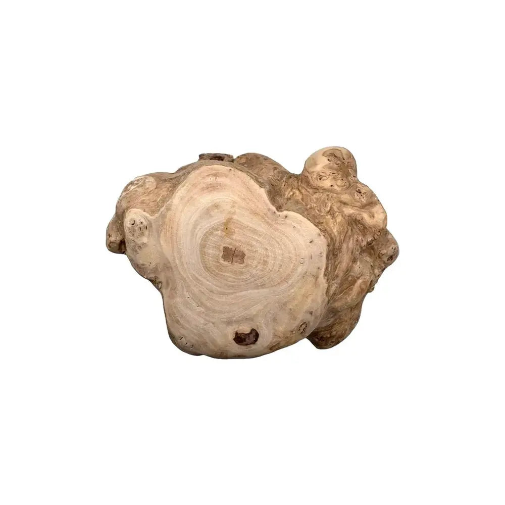 Hobbitalf Tronco de Madera de Café Snack Natural para Perros HOBBITALF Mascotas-Ávila