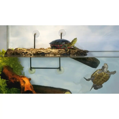 Isla Turtle Dock NAYECO Mascotas-Ávila