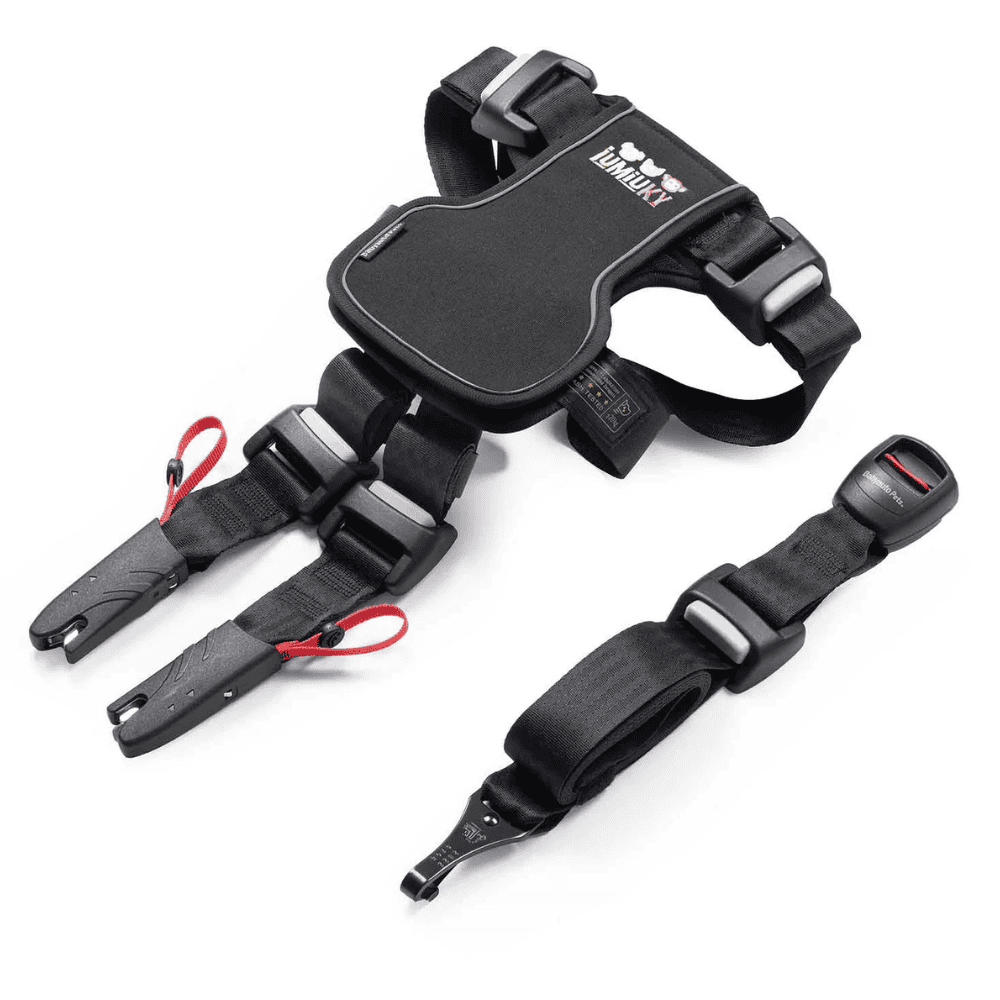 Iumiuky Travel Fix Arnés Pet Coche para Perros IUMIUKY Mascotas-Ávila