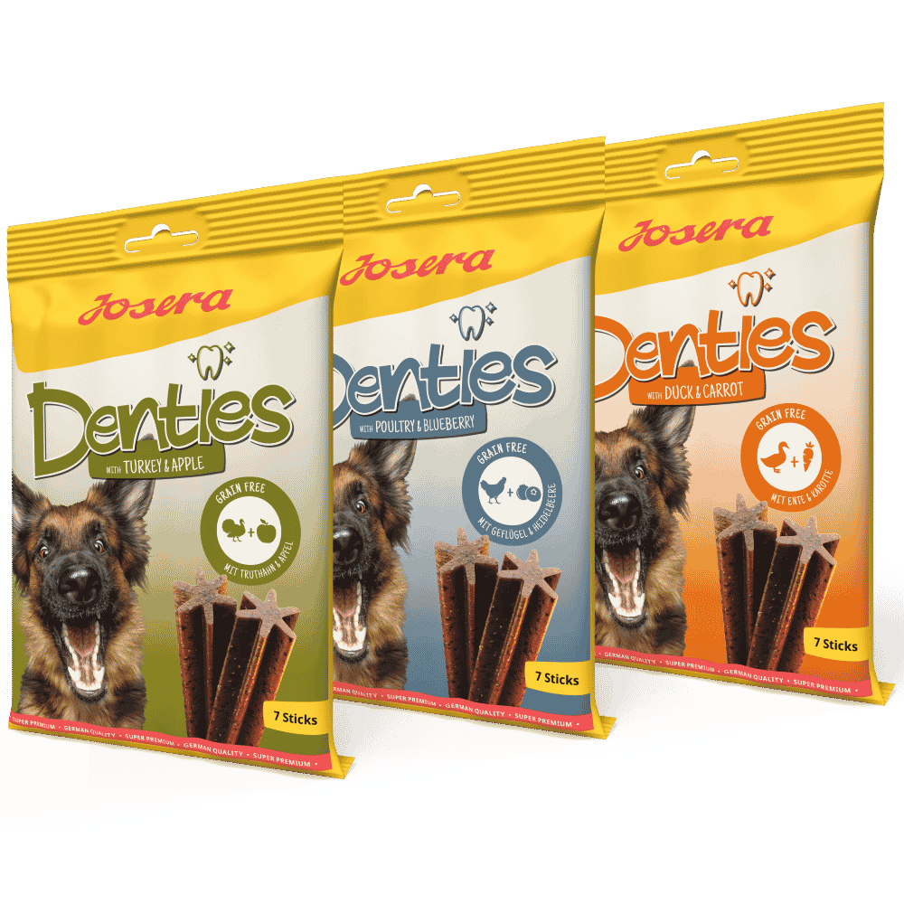 Josera Denties 180 g Snack Premium Sin Cereales para Perros JOSERA Mascotas-Ávila