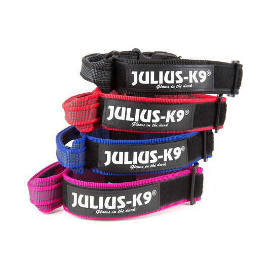 Julius K9 Collar con Asa de Agarre para Perros JULIUS Mascotas-Ávila