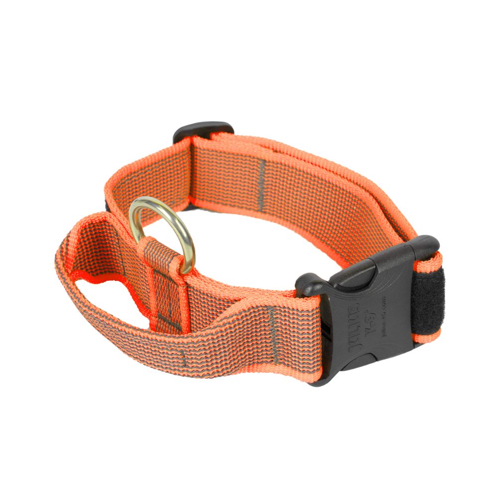 Naranja / 50 mm Julius K9 Collar con Asa de Agarre para Perros JULIUS K9 Mascotas-Ávila