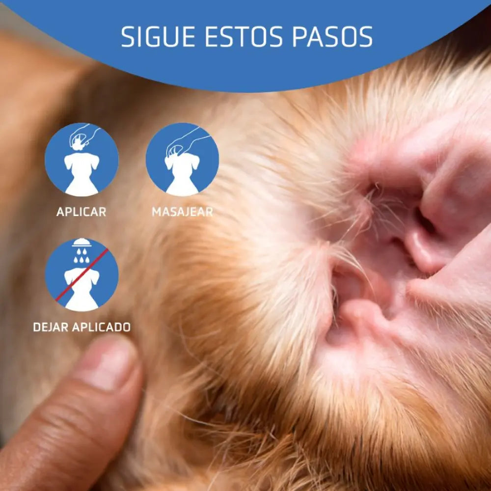Limpiador Auricular Aurigel 100 Ml. ARTERO Mascotas-Ávila