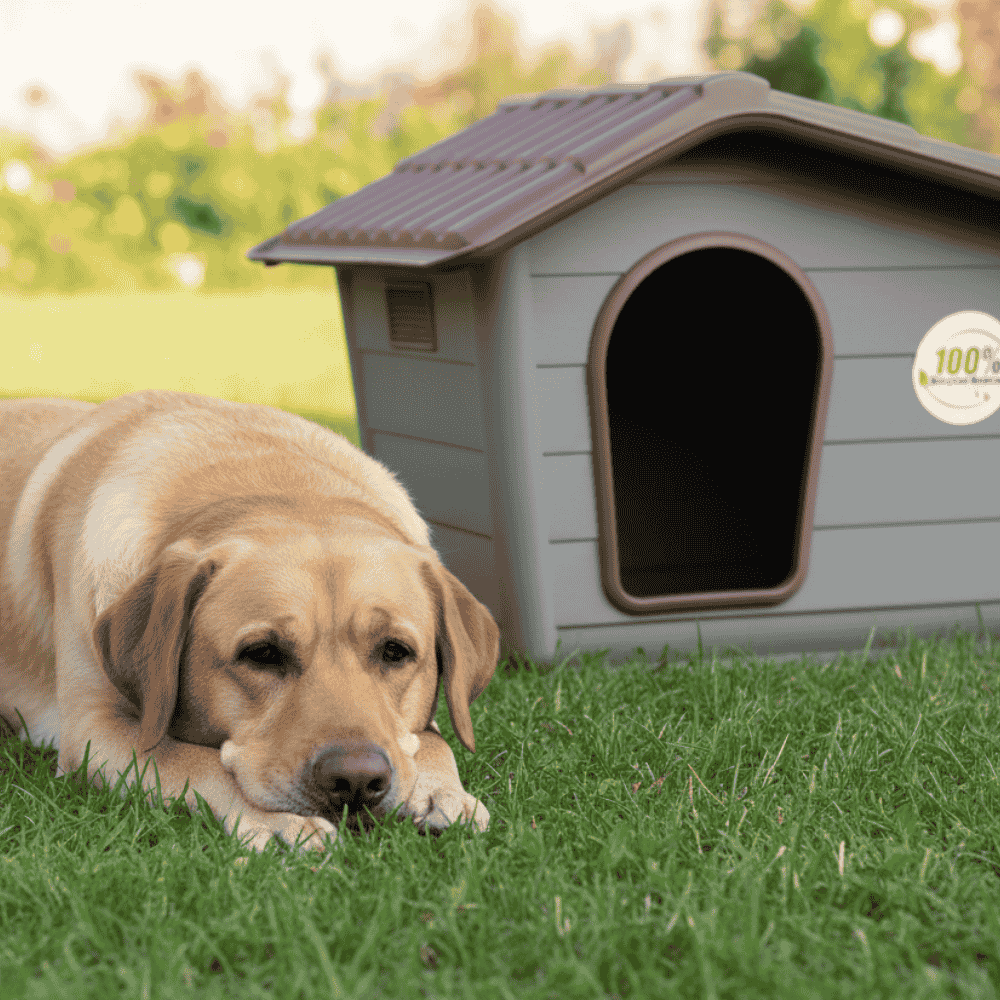 Nayeco Caseta Eco para Perros con Plástico 100% Reciclado NAYECO Mascotas-Ávila