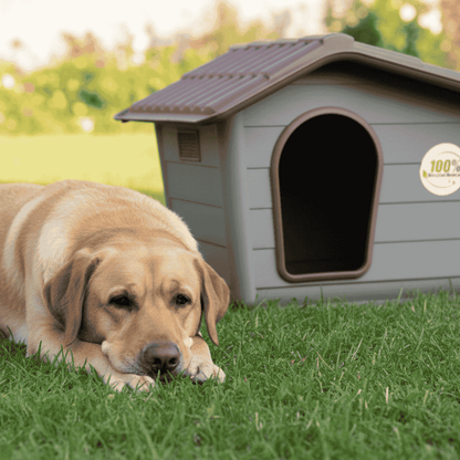 Nayeco Caseta Eco para Perros con Plástico 100% Reciclado NAYECO Mascotas-Ávila