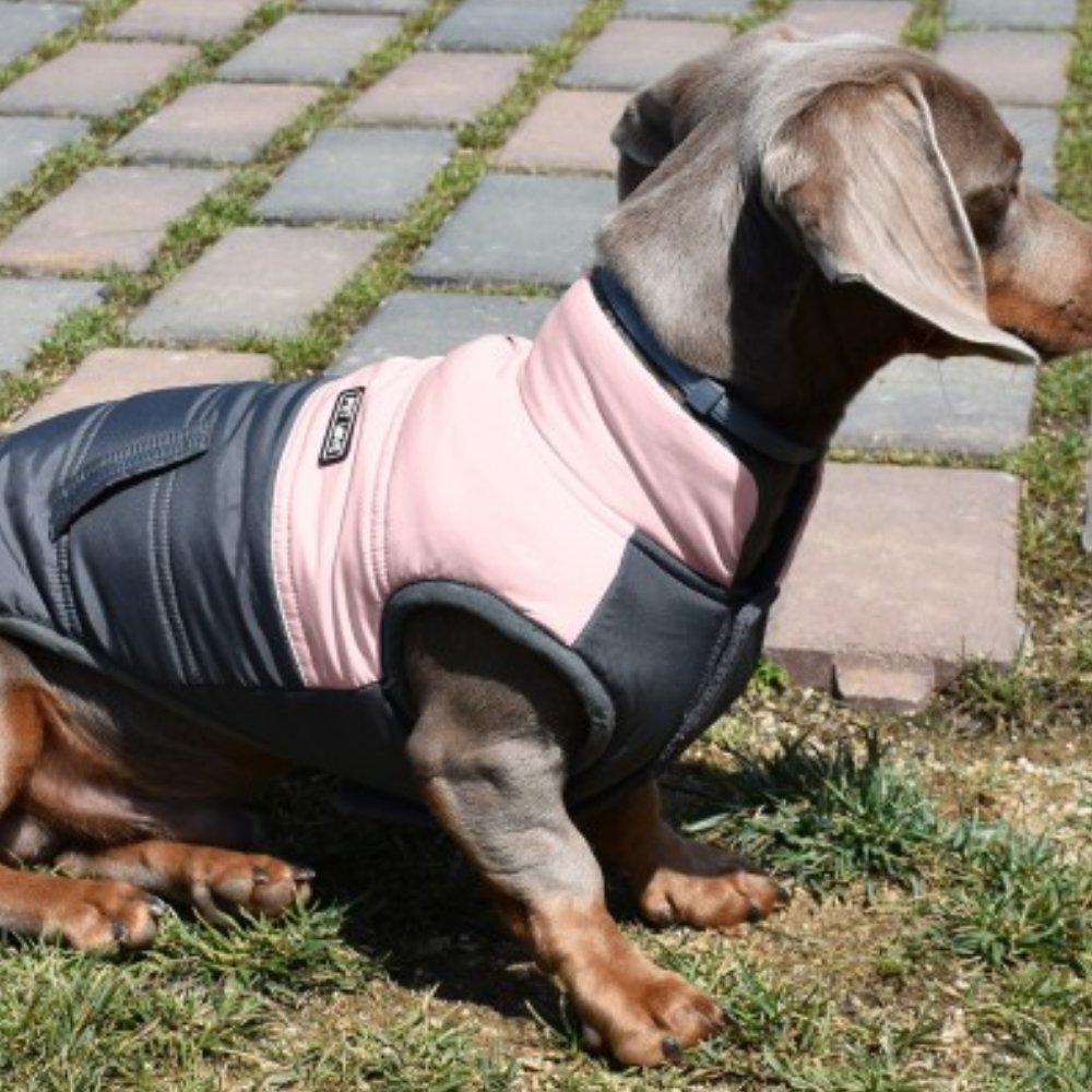 Nayeco Chaqueta Montecarlo Ropa para Perros NAYECO Mascotas-Ávila