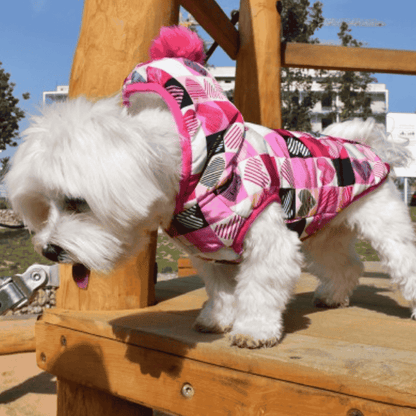 Nayeco Chaqueta con Capucha Love Square Ropa para Perros NAYECO Mascotas-Ávila