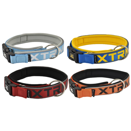 Nayeco Collar X-TRM Neon Flash para Perro NAYECO Mascotas-Ávila