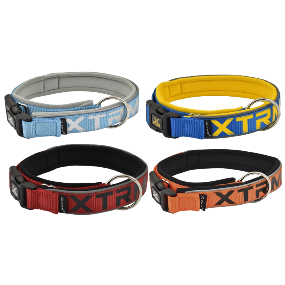 Nayeco Collar X-TRM Neon Flash para Perro NAYECO Mascotas-Ávila