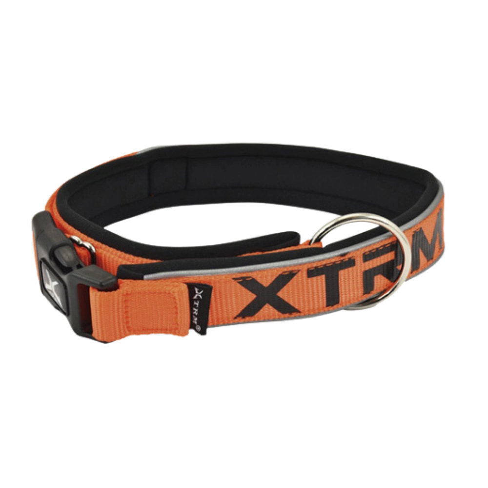 Nayeco Collar X-TRM Neon Flash para Perro NAYECO Mascotas-Ávila