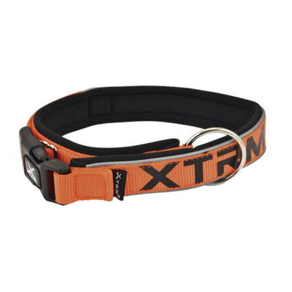 Nayeco Collar X-TRM Neon Flash para Perro NAYECO Mascotas-Ávila
