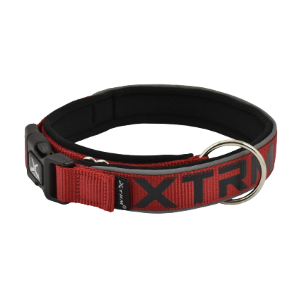 Nayeco Collar X-TRM Neon Flash para Perro NAYECO Mascotas-Ávila
