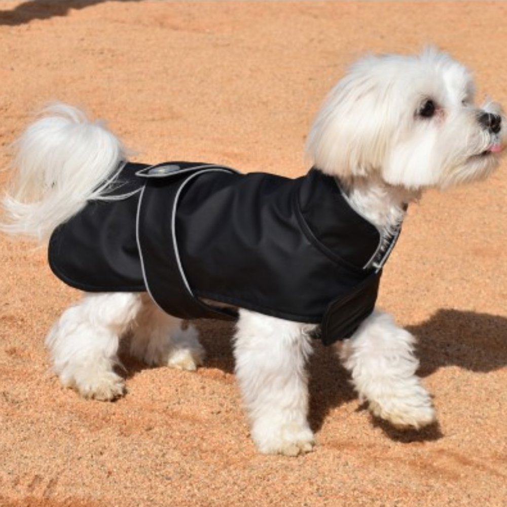 Nayeco Impermeable Dancing Rain Cerrado Ropa para Perros NAYECO Mascotas-Ávila