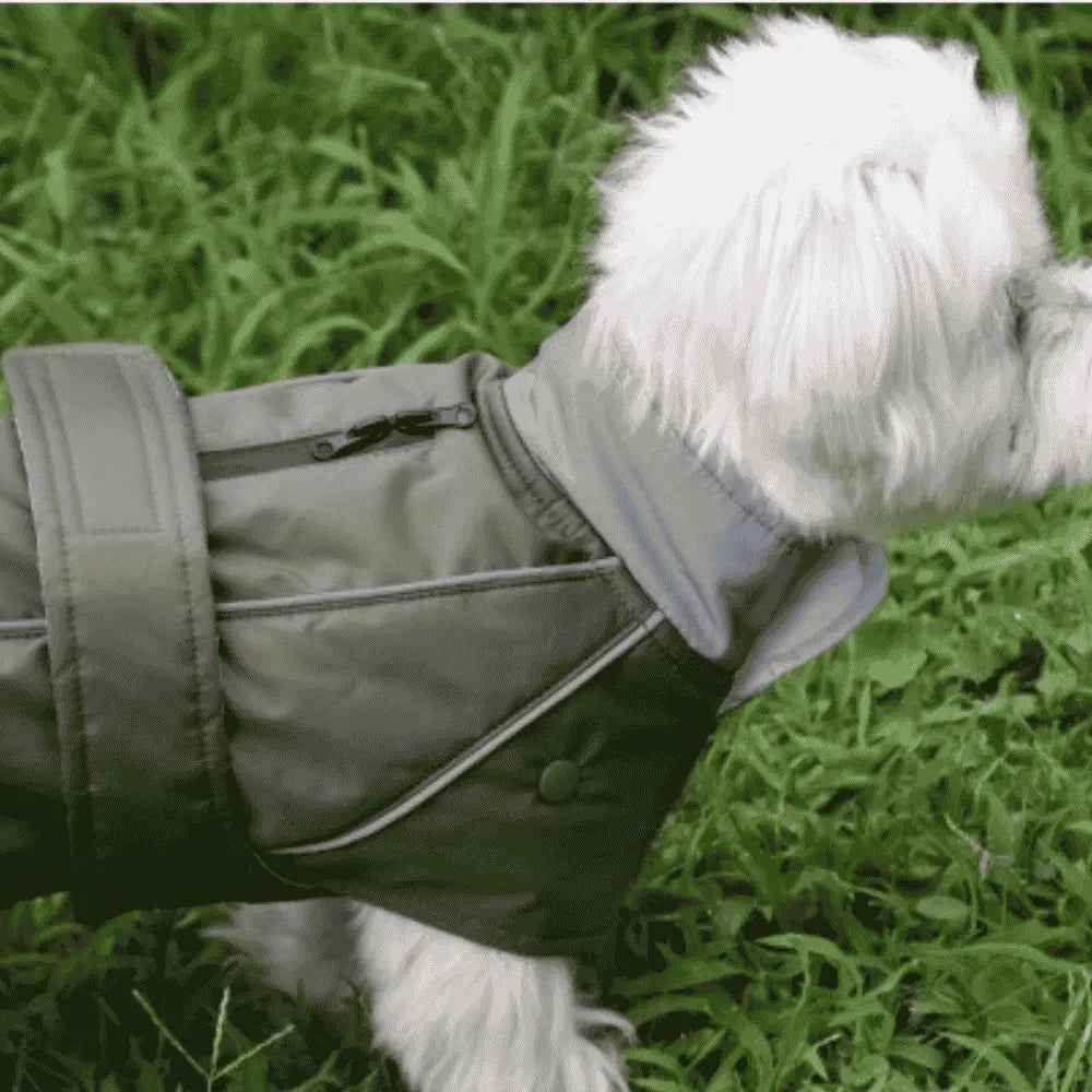 Nayeco Impermeable con Forro Extraíble para Perros NAYECO Mascotas-Ávila