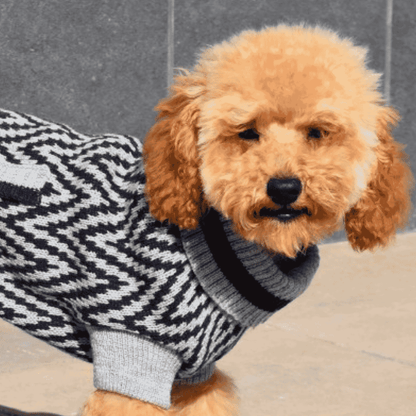 Nayeco Jersey Punto Birmingham Ropa para Perros NAYECO Mascotas-Ávila