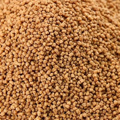 Ocean Nutricion Atison´S Betta Food OCEAN NUTRICION Mascotas-Ávila