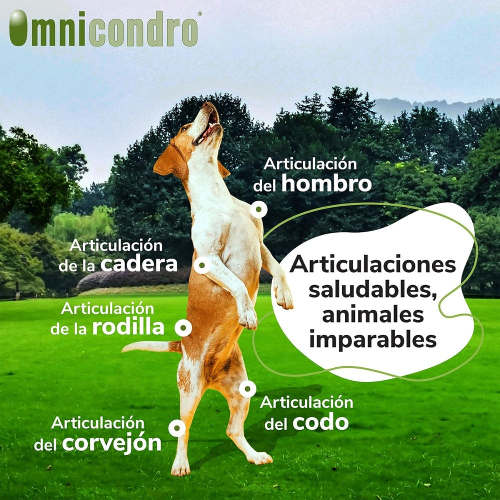 Omnicondro 10 | 60 comprimidos | Condroprotector para Perros, Gatos y Cachorros con Glucosamina y Condroitina para Articulaciones | Hifarmax HIFARMAX Mascotas-Ávila