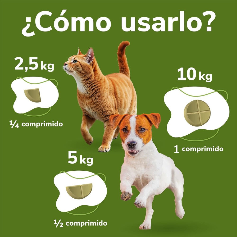 Omnicondro 10 | 60 comprimidos | Condroprotector para Perros, Gatos y Cachorros con Glucosamina y Condroitina para Articulaciones | Hifarmax HIFARMAX Mascotas-Ávila