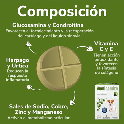 Omnicondro 10 | 60 comprimidos | Condroprotector para Perros, Gatos y Cachorros con Glucosamina y Condroitina para Articulaciones | Hifarmax HIFARMAX Mascotas-Ávila