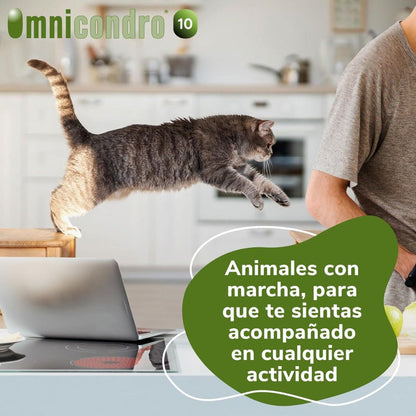 Omnicondro 10 | 60 comprimidos | Condroprotector para Perros, Gatos y Cachorros con Glucosamina y Condroitina para Articulaciones | Hifarmax HIFARMAX Mascotas-Ávila