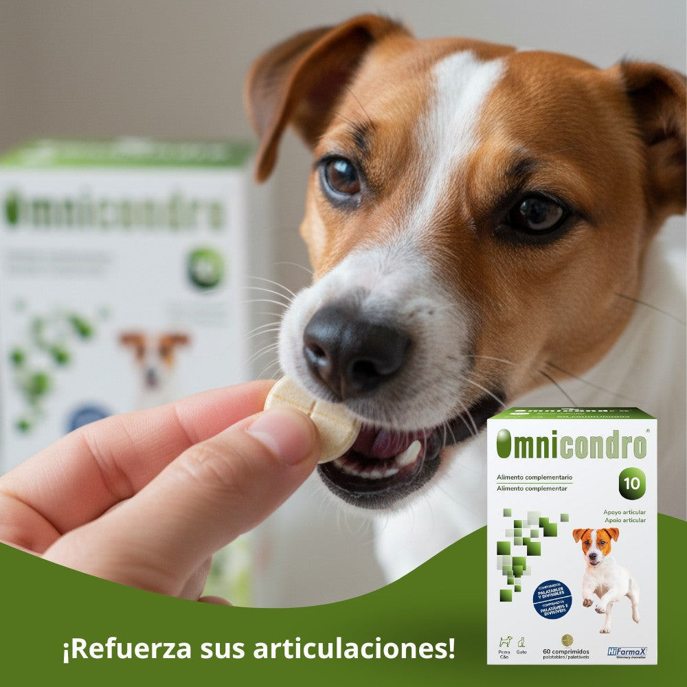Omnicondro 10 | 60 comprimidos | Condroprotector para Perros, Gatos y Cachorros con Glucosamina y Condroitina para Articulaciones | Hifarmax HIFARMAX Mascotas-Ávila