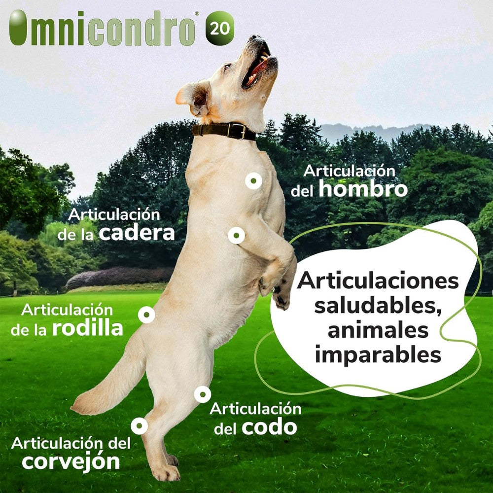 Omnicondro 20 | 60 comprimidos | Condroprotector para Perros y Gatos con Glucosamina y Condroitina | Suplemento Nutricional para Reforzar Articulaciones | Hifarmax HIFARMAX Mascotas-Ávila