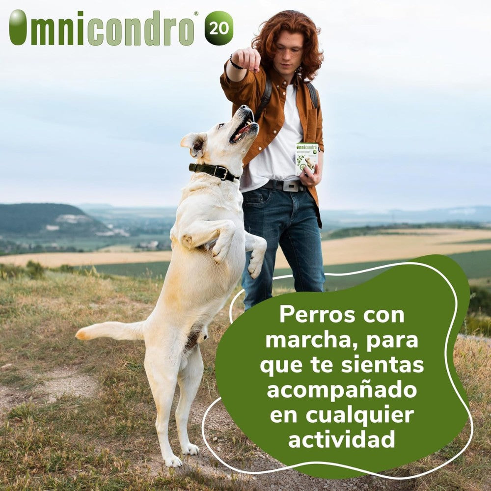 Omnicondro 20 | 60 comprimidos | Condroprotector para Perros y Gatos con Glucosamina y Condroitina | Suplemento Nutricional para Reforzar Articulaciones | Hifarmax HIFARMAX Mascotas-Ávila