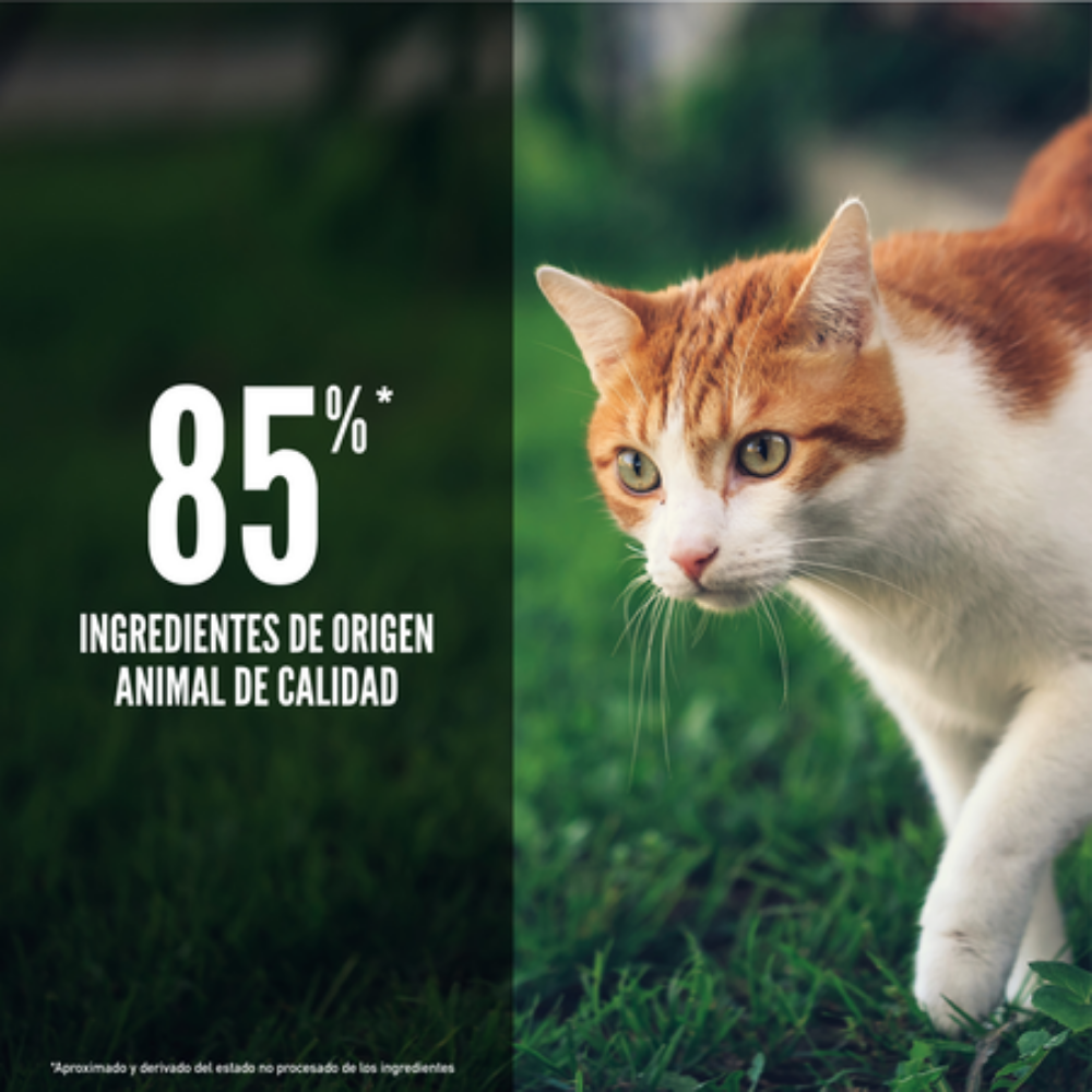 Orijen Cat Fit y Trim Orijen Mascotas-Ávila
