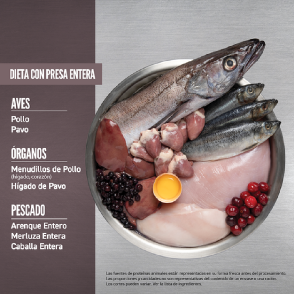 Orijen Cat Fit y Trim Orijen Mascotas-Ávila