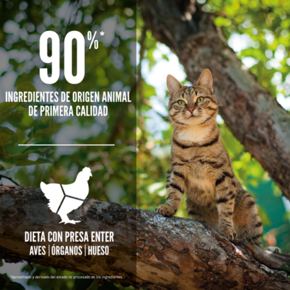 Orijen Cat Guardian 8 Pienso para Gatos Orijen Mascotas-Ávila