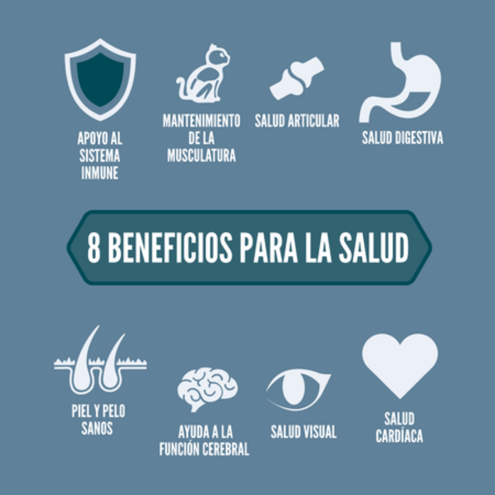 Orijen Cat Guardian 8 Orijen Mascotas-Ávila