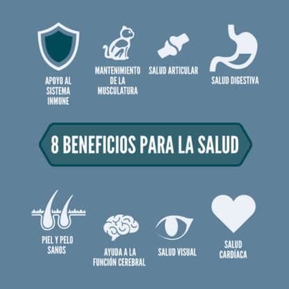 Orijen Cat Guardian 8 Orijen Mascotas-Ávila