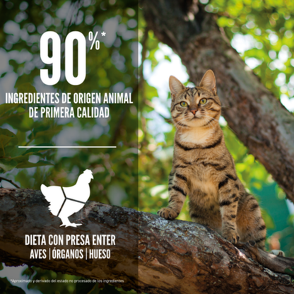 Orijen Cat Guardian 8 Orijen Mascotas-Ávila