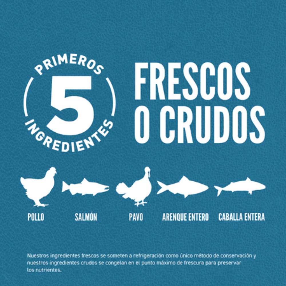 Orijen Cat Guardian 8 Orijen Mascotas-Ávila