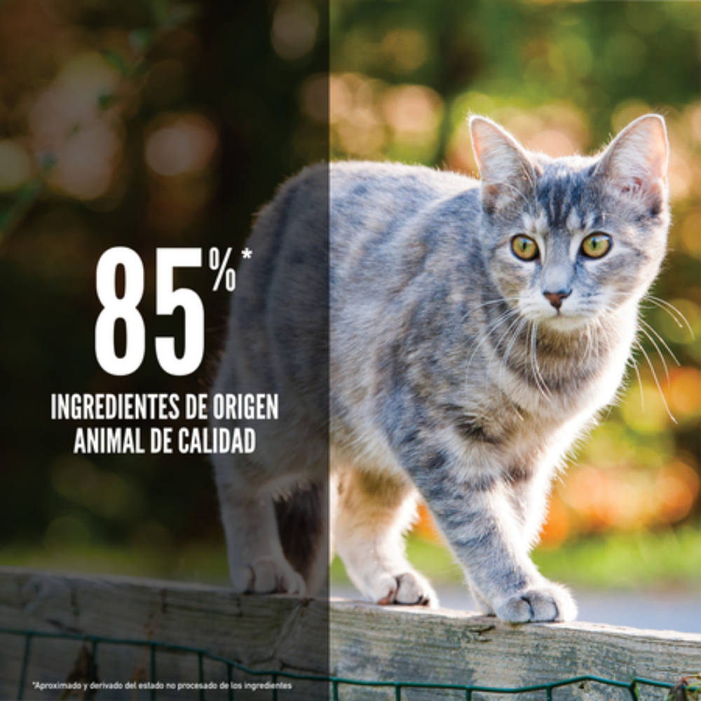 Orijen Cat Original Orijen Mascotas-Ávila