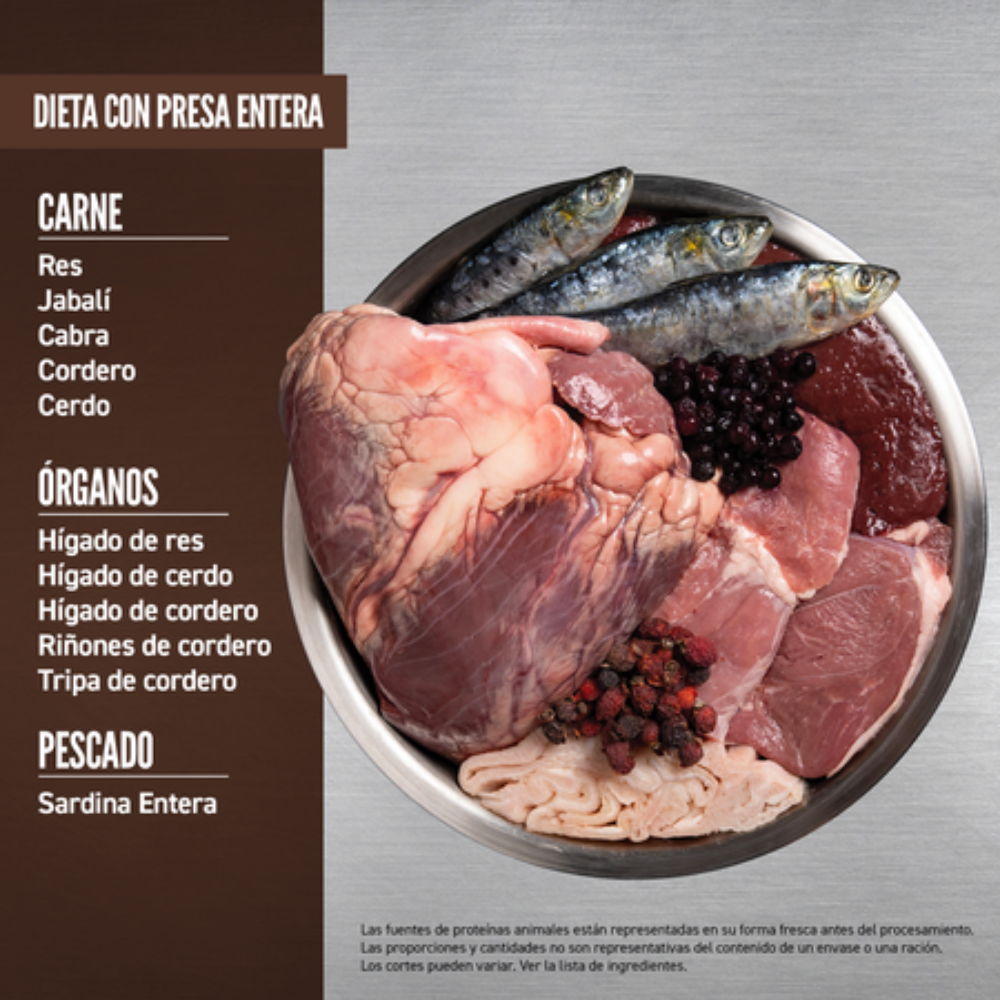 Orijen Cat Regional Red Orijen Mascotas-Ávila