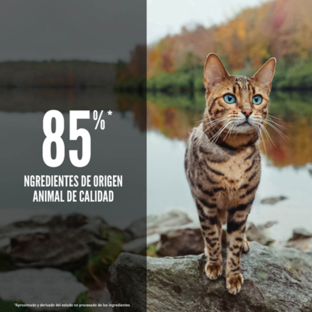 Orijen Cat Six Fish Orijen Mascotas-Ávila