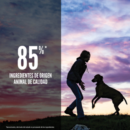 Orijen Dog Puppy Large Orijen Mascotas-Ávila