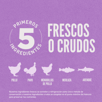 Orijen Dog Puppy Large Orijen Mascotas-Ávila