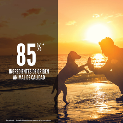 Orijen Dog Puppy Orijen Mascotas-Ávila