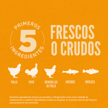 Orijen Dog Puppy Orijen Mascotas-Ávila