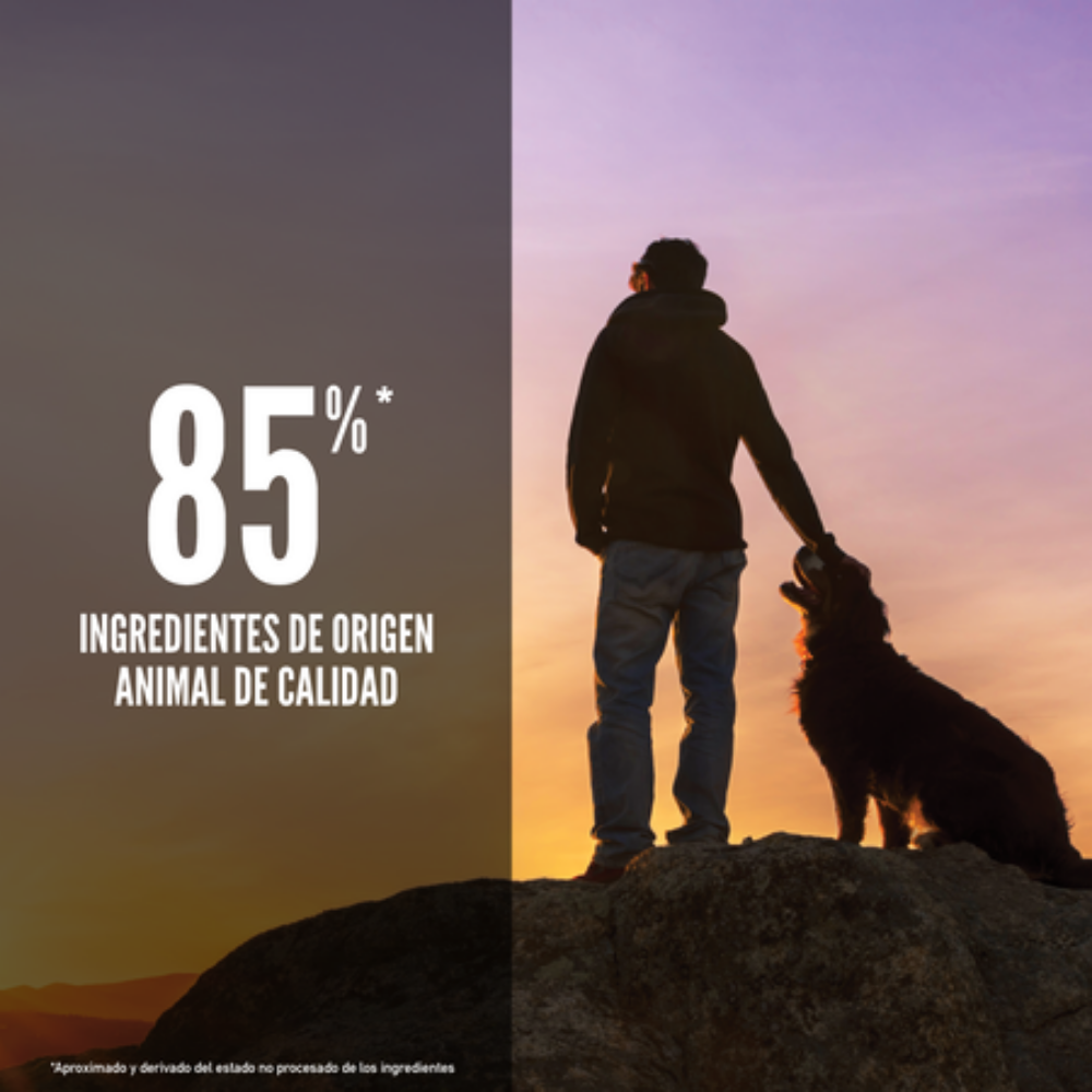 Orijen Dog Regional Red Orijen Mascotas-Ávila