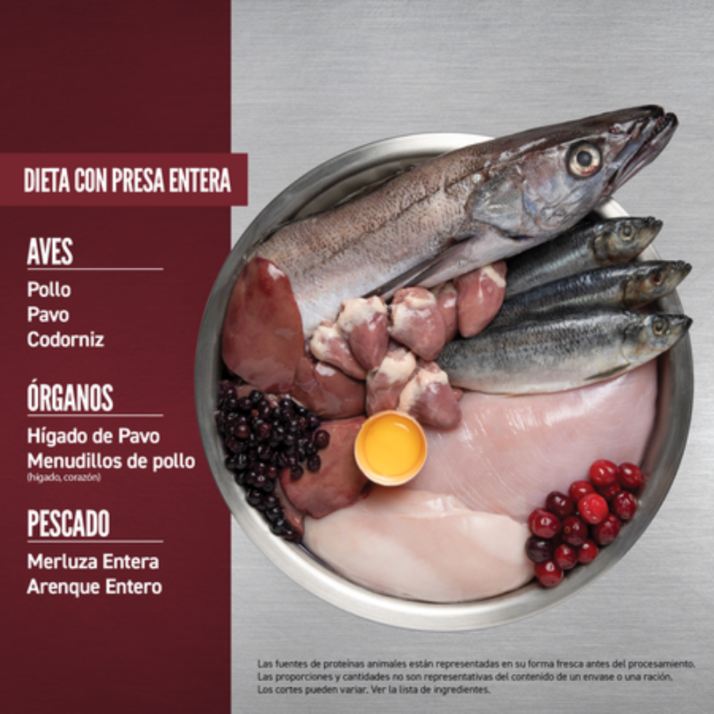 Orijen Dog Regional Red Orijen Mascotas-Ávila