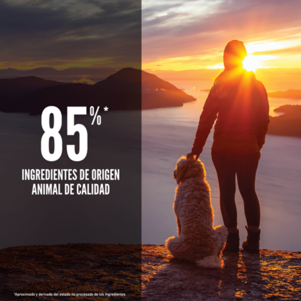 Orijen Dog Senior Orijen Mascotas-Ávila