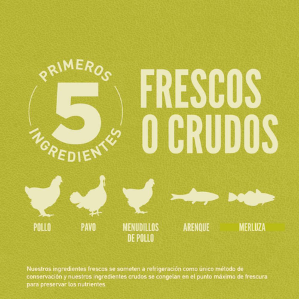 Orijen Dog Senior Orijen Mascotas-Ávila