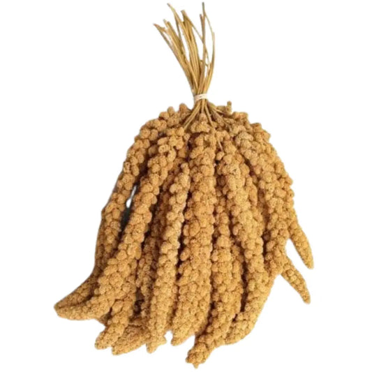 Panizo En Espigas kg PILESAN Mascotas-Ávila