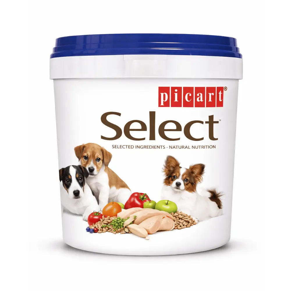 Picart Bidón para Guardar Pienso Pequeño 5,7L PICART SELECT Mascotas-Ávila